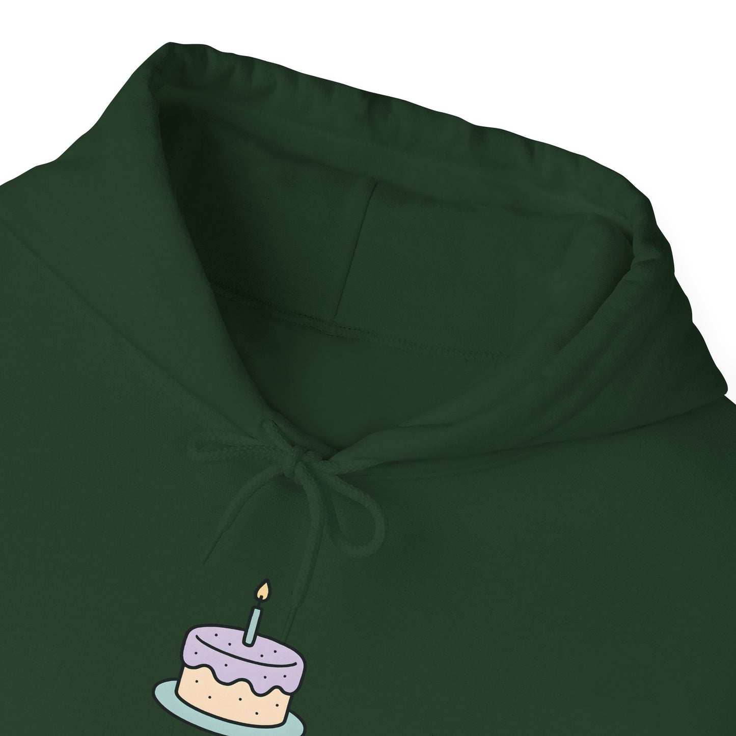 Birthday Cake Hoodie, Cute Gift for Cake Lovers