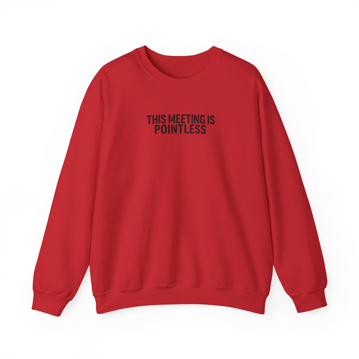 Funny Crewneck Sweatshirt - This Meeting Is Pointless