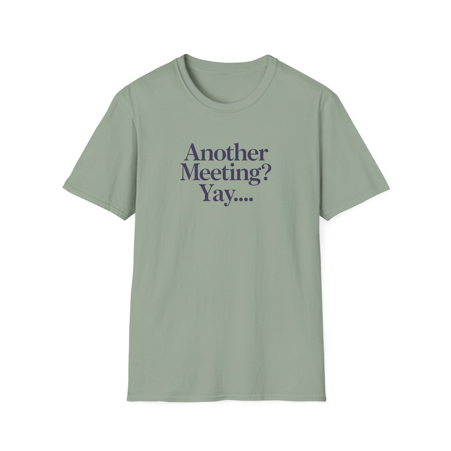 Funny Meeting T-Shirt, Gift for Coworkers