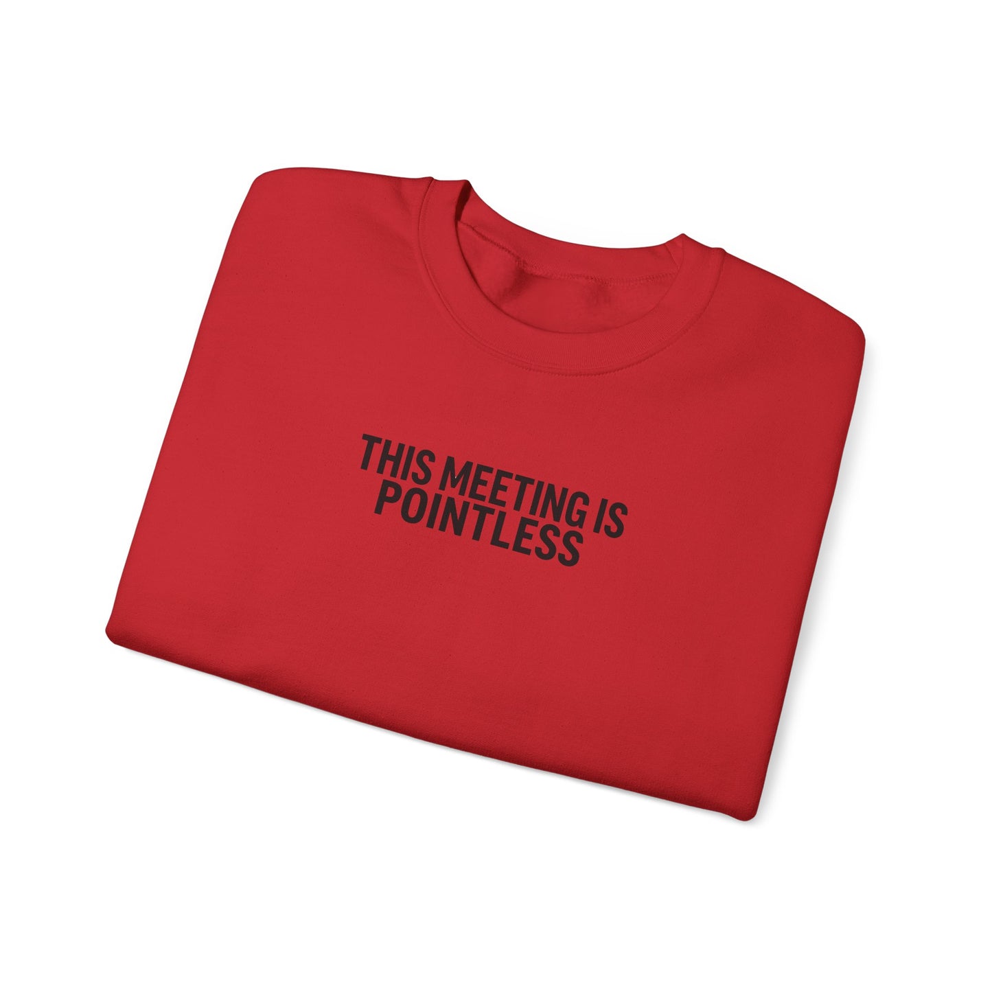 Funny Crewneck Sweatshirt - This Meeting Is Pointless