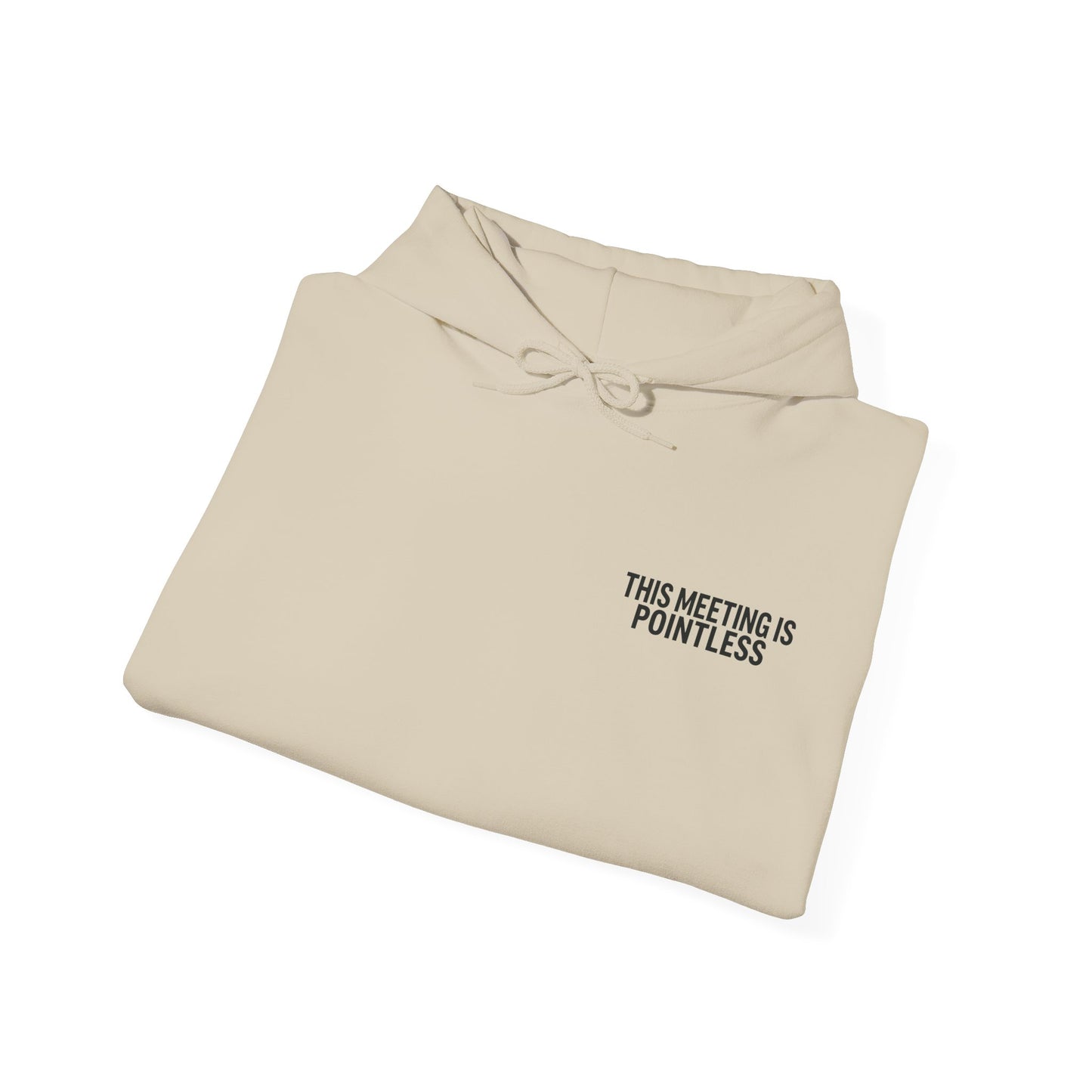 This Meeting is Pointless Hoodie, Office Jokes Hoodie