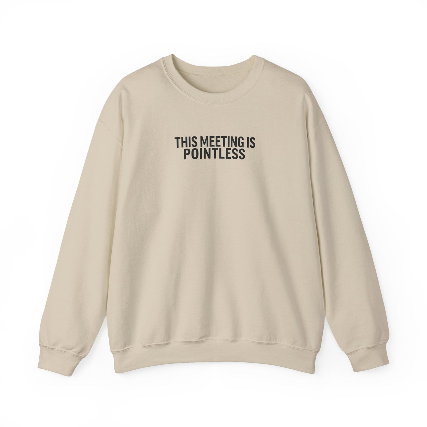 Funny Crewneck Sweatshirt - This Meeting Is Pointless