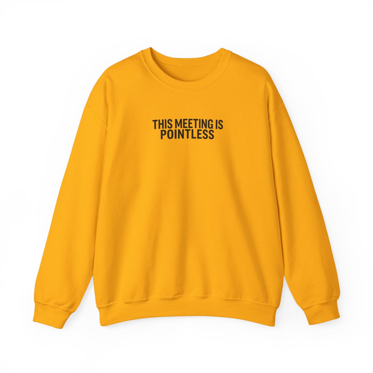 Funny Crewneck Sweatshirt - This Meeting Is Pointless