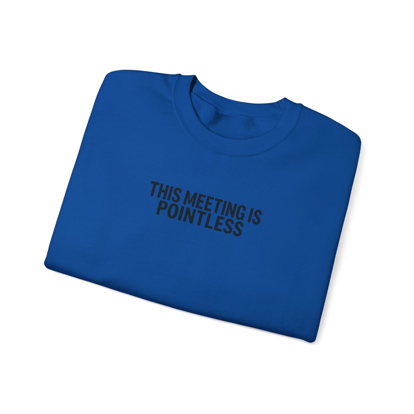 Funny Crewneck Sweatshirt - This Meeting Is Pointless