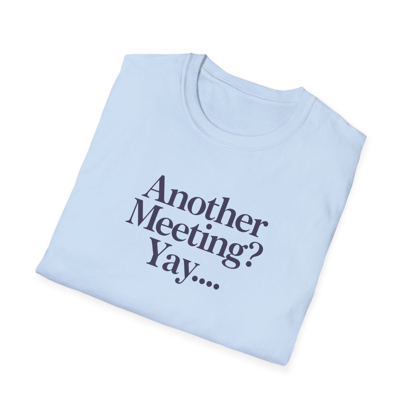 Funny Meeting T-Shirt, Gift for Coworkers