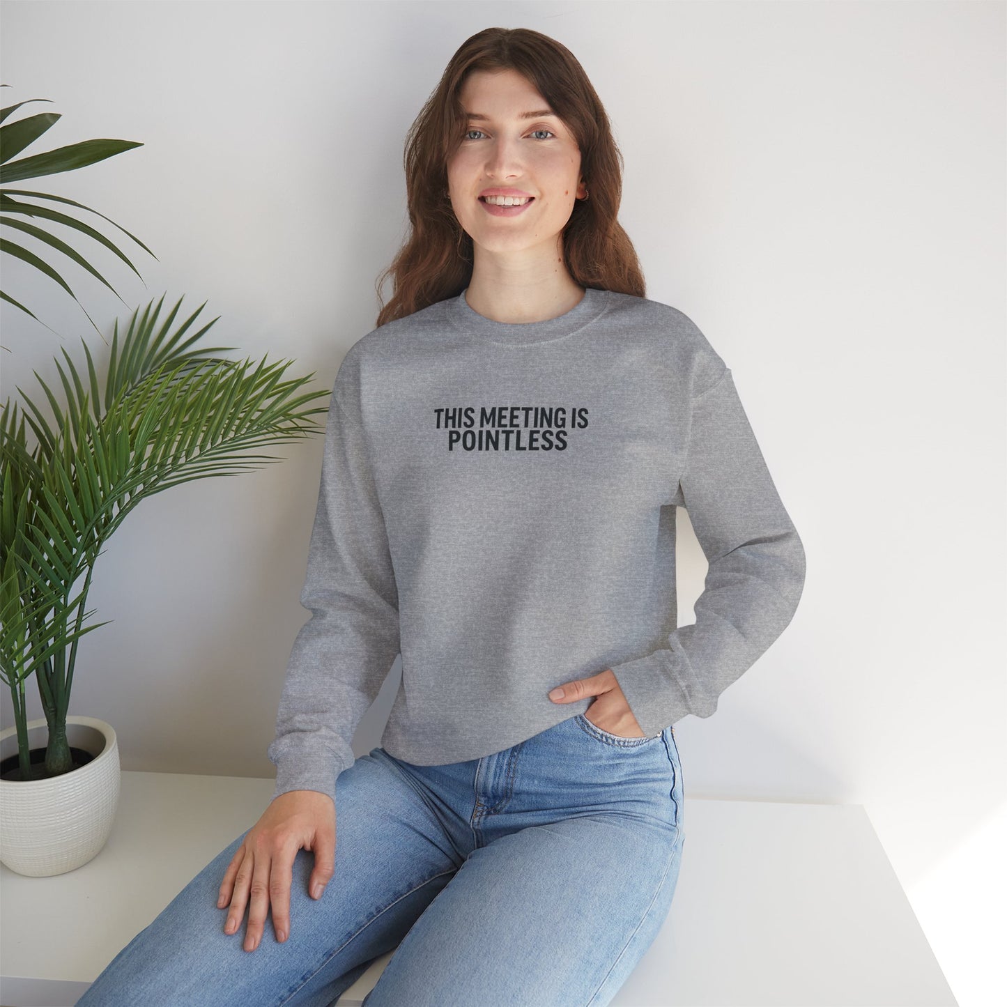 Funny Crewneck Sweatshirt - This Meeting Is Pointless