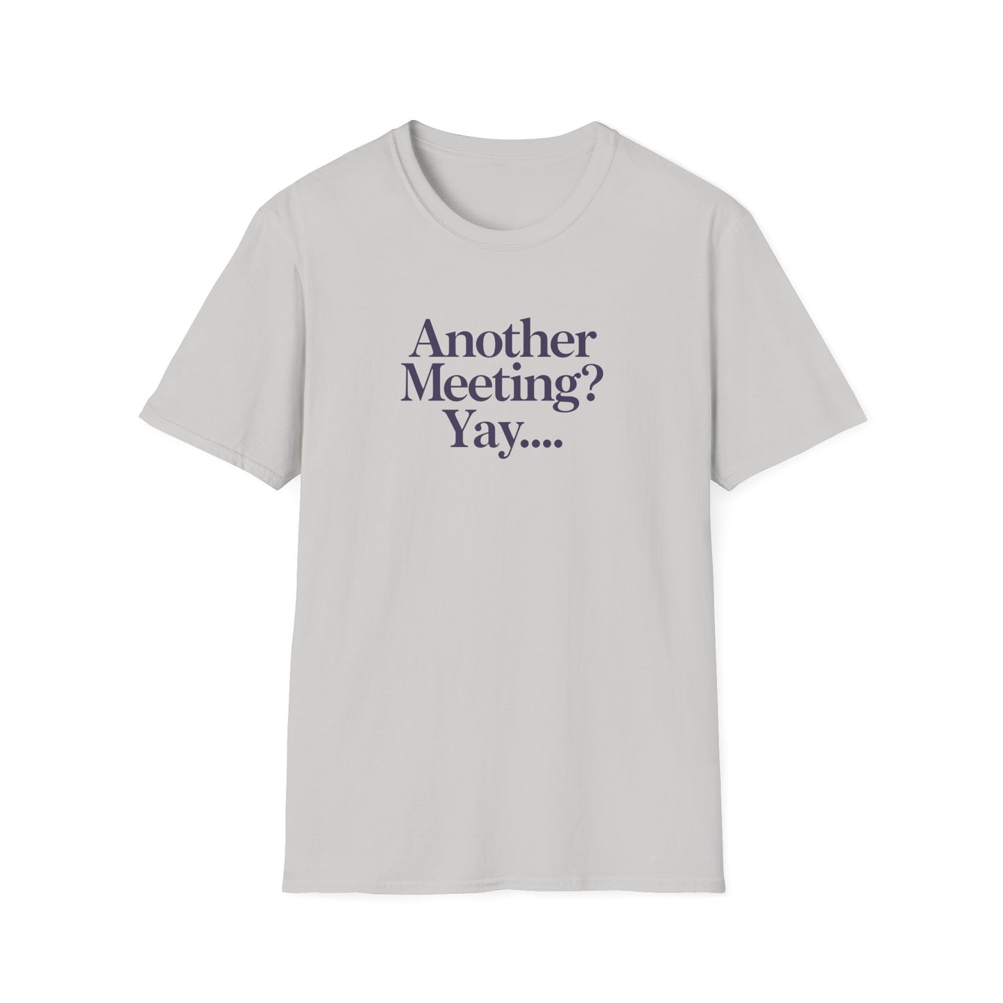 Funny Meeting T-Shirt, Gift for Coworkers