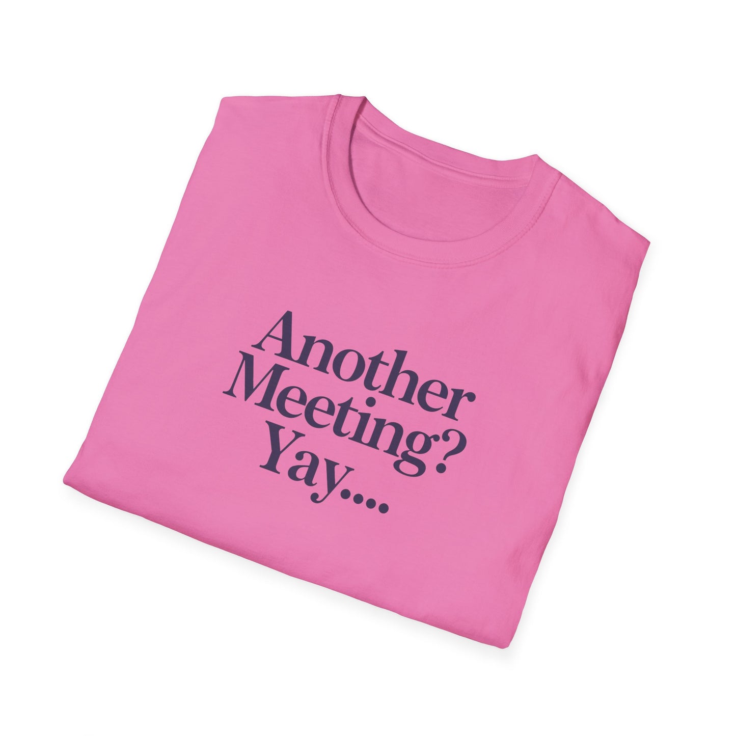 Funny Meeting T-Shirt, Gift for Coworkers