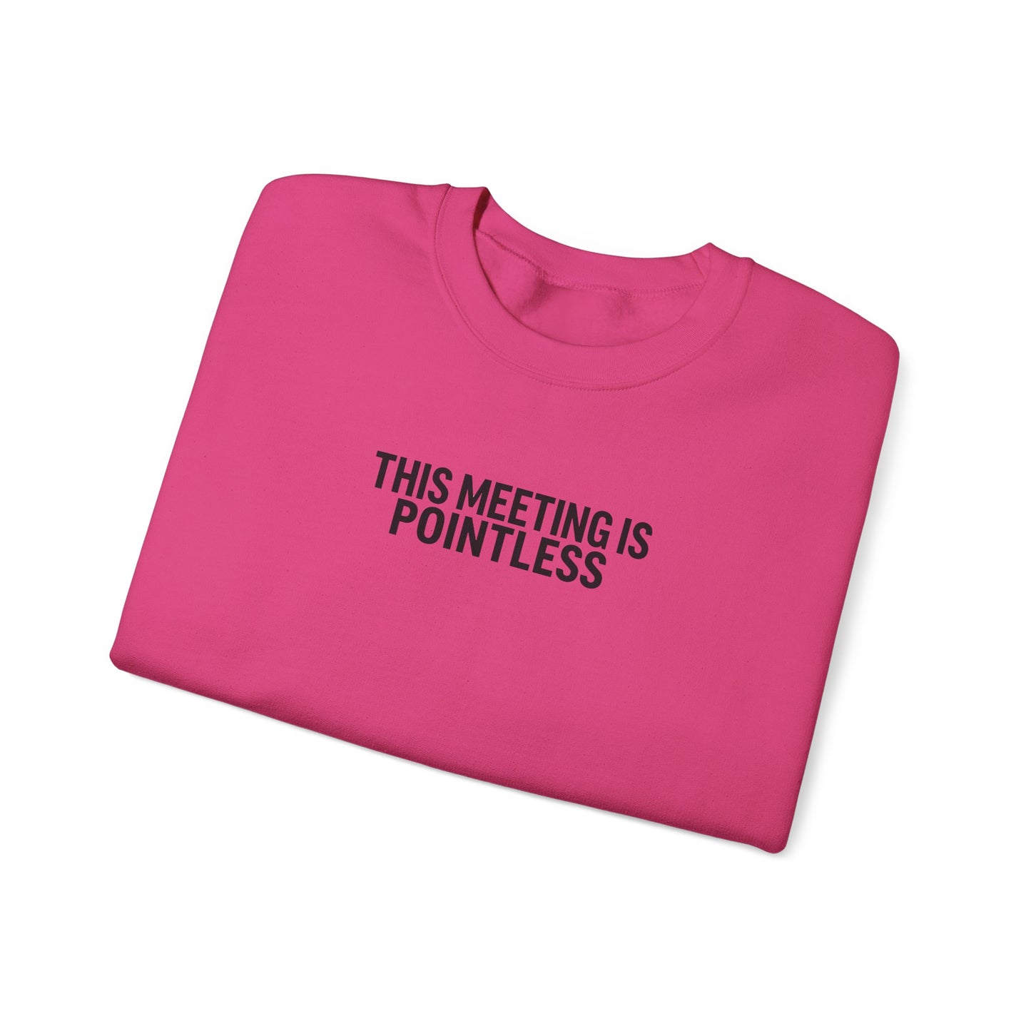 Funny Crewneck Sweatshirt - This Meeting Is Pointless