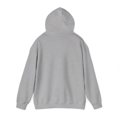 Birthday Cake Hoodie, Cute Gift for Cake Lovers