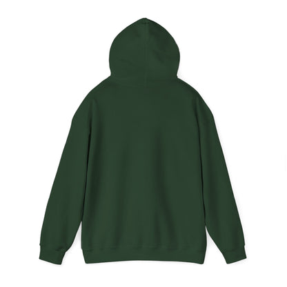 Birthday Cake Hoodie, Cute Gift for Cake Lovers