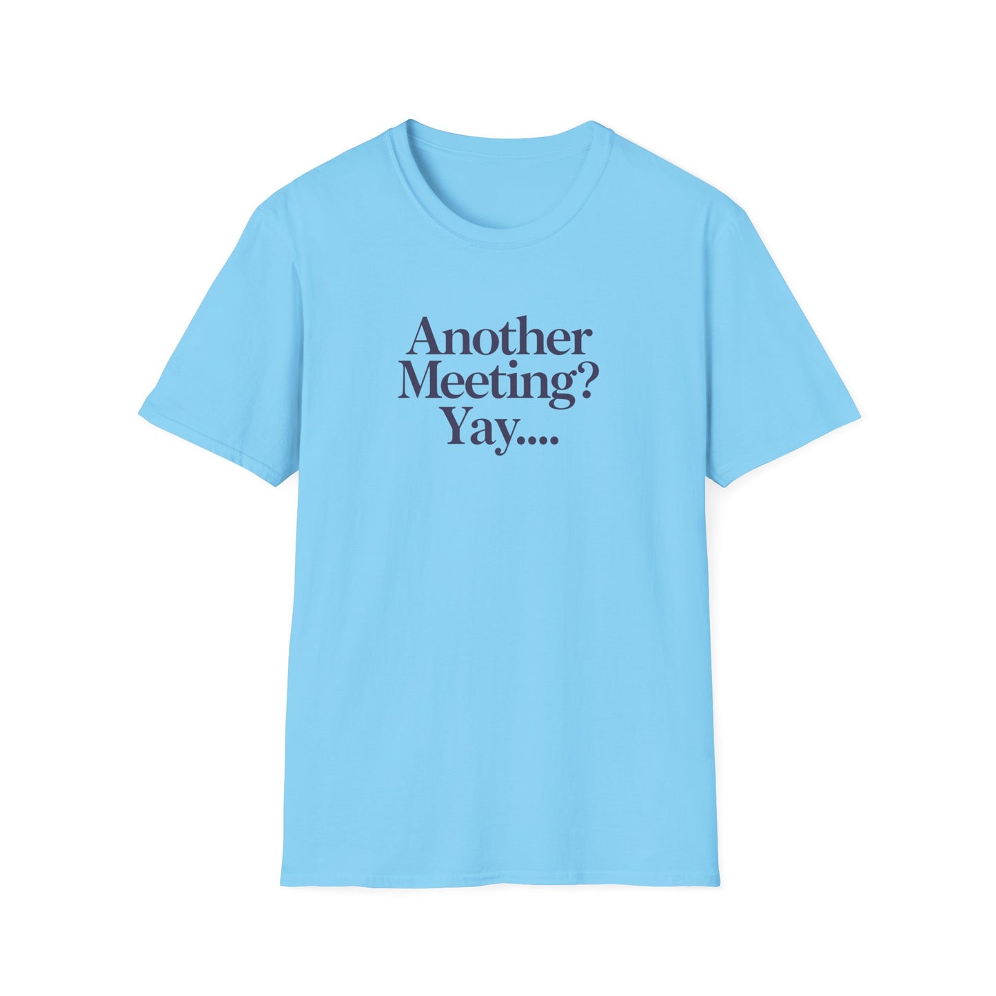 Funny Meeting T-Shirt, Gift for Coworkers