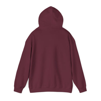 Birthday Cake Hoodie, Cute Gift for Cake Lovers