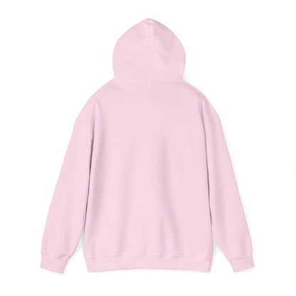 Birthday Cake Hoodie, Cute Gift for Cake Lovers