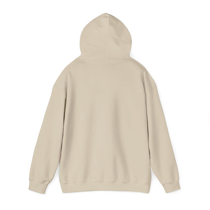 Birthday Cake Hoodie, Cute Gift for Cake Lovers