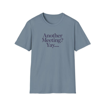 Funny Meeting T-Shirt, Gift for Coworkers