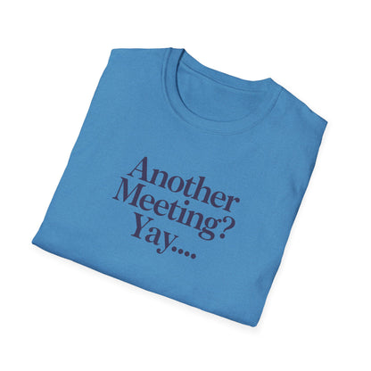 Funny Meeting T-Shirt, Gift for Coworkers