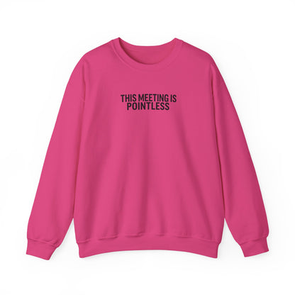 Funny Crewneck Sweatshirt - This Meeting Is Pointless