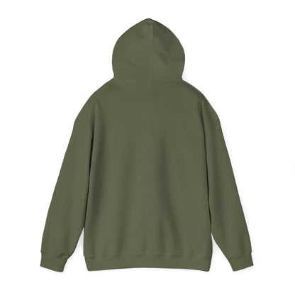 Birthday Cake Hoodie, Cute Gift for Cake Lovers