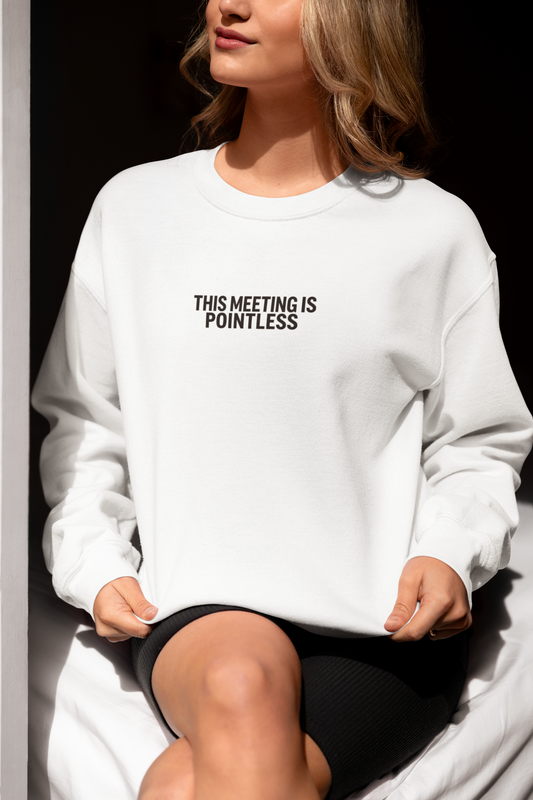 Funny Crewneck Sweatshirt - This Meeting Is Pointless
