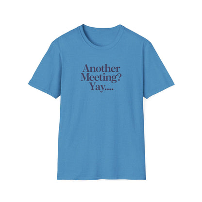 Funny Meeting T-Shirt, Gift for Coworkers