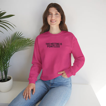 Funny Crewneck Sweatshirt - This Meeting Is Pointless
