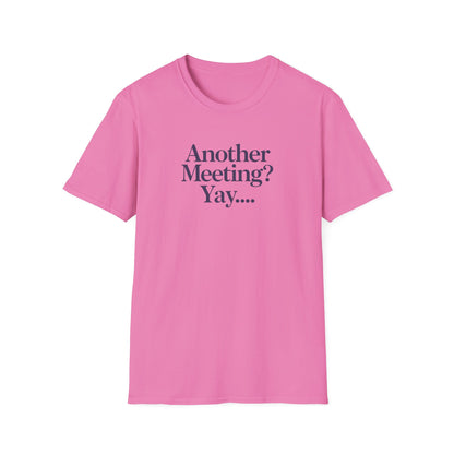 Funny Meeting T-Shirt, Gift for Coworkers