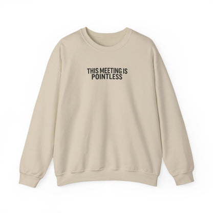 Funny Crewneck Sweatshirt - This Meeting Is Pointless