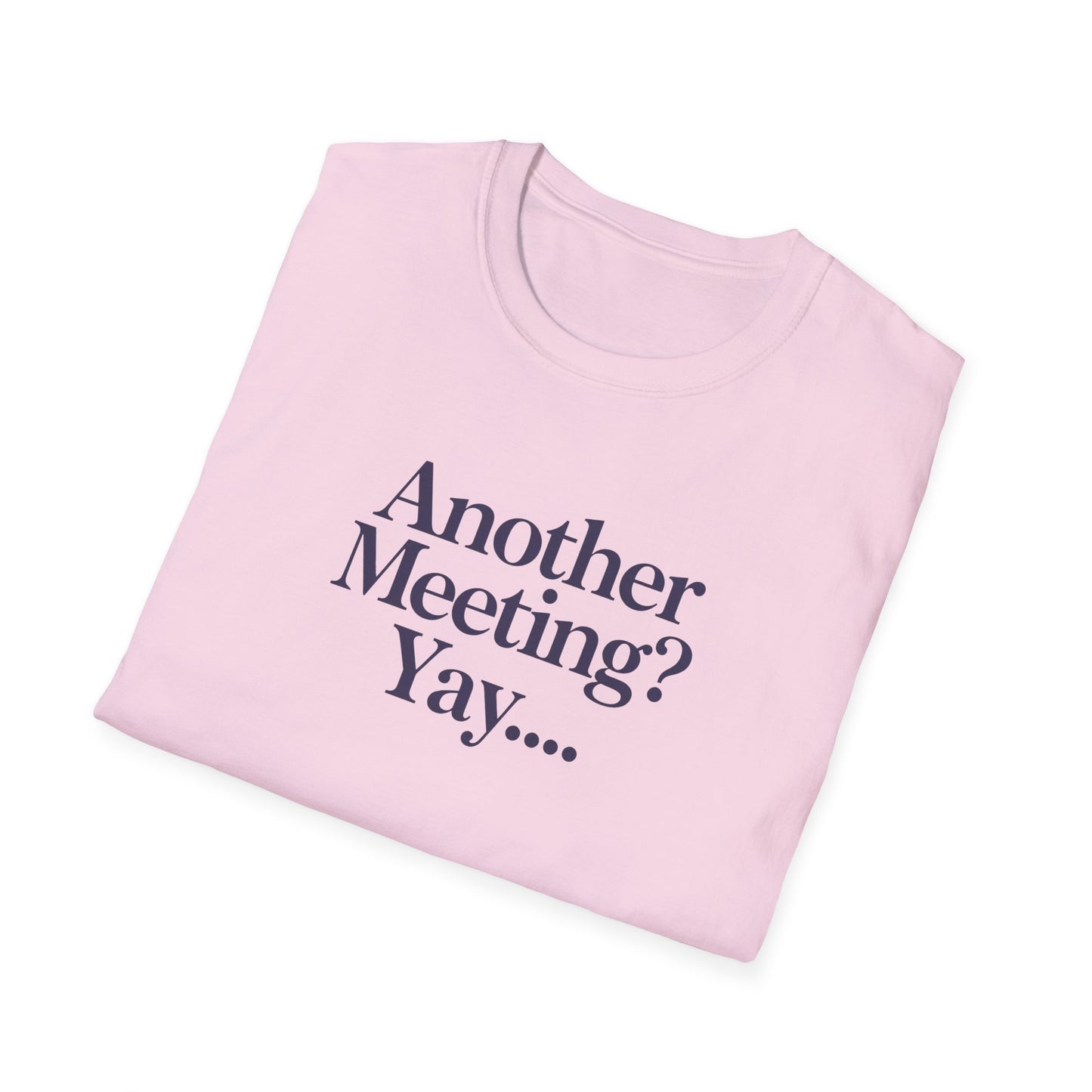 Funny Meeting T-Shirt, Gift for Coworkers