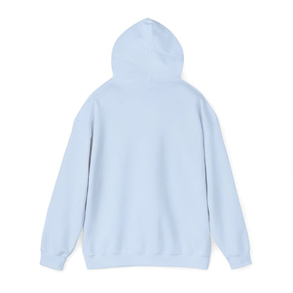 Birthday Cake Hoodie, Cute Gift for Cake Lovers
